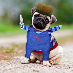 Disfraz Para Mascotas De Chucky TV51